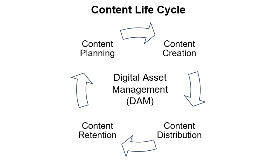 Content Life Cycle im DAM