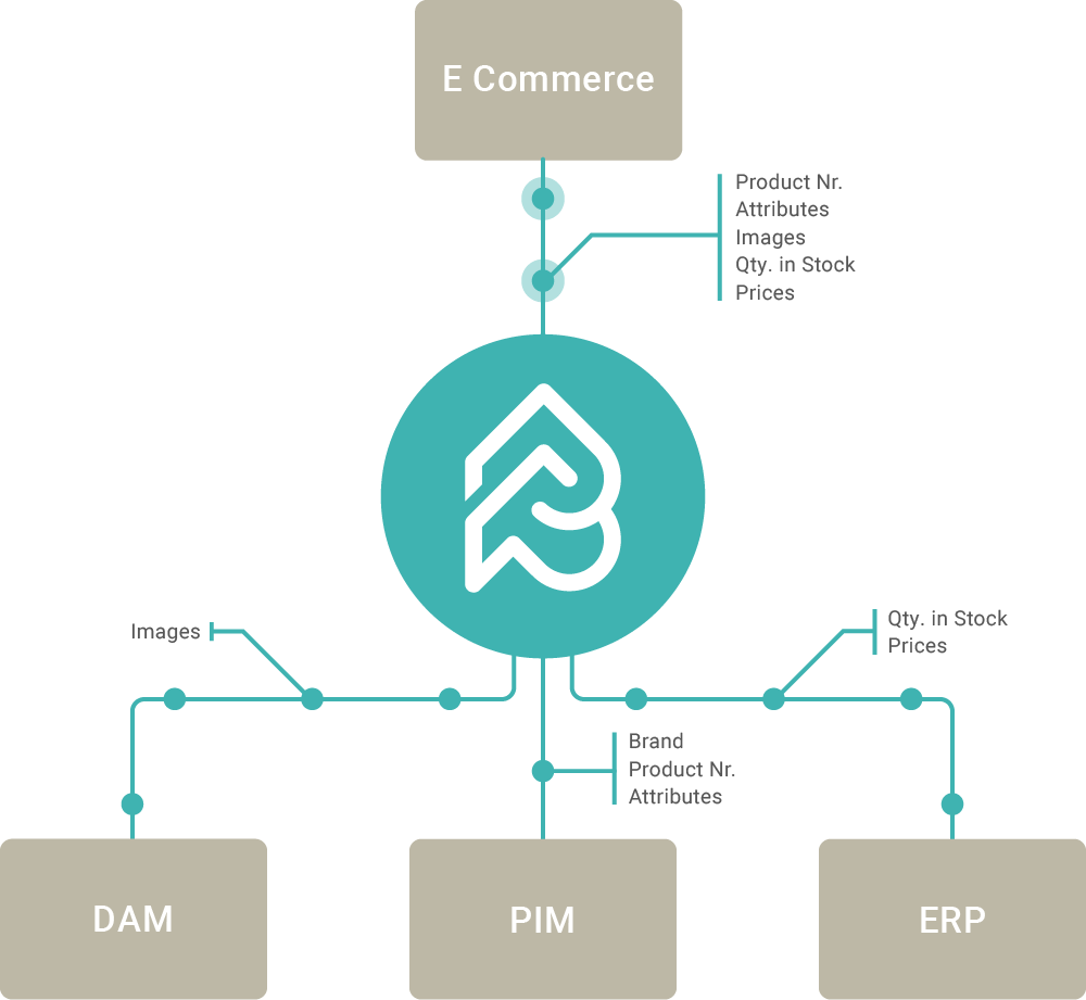 Picturepark Content Platform: Route Content